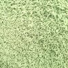 OEM-Flushable Odor Control Cat Litter Tofu Cat Litter Supplied