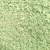 10kg Strong Scented Clumping Tofu Cat Litter Supplier