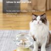 Jellyfish Shaped  Pet Water Fountain Pet Bowls Feeders Wholesale Wireless Filtered Automatic Water Dispenser For Pets