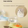Jellyfish Shaped  Pet Water Fountain Pet Bowls Feeders Wholesale Wireless Filtered Automatic Water Dispenser For Pets