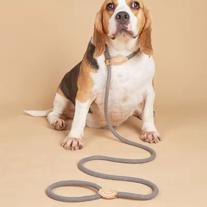 dog training leash collar (3) New integrated dog leash explosion-proof rope large dog training leash collar