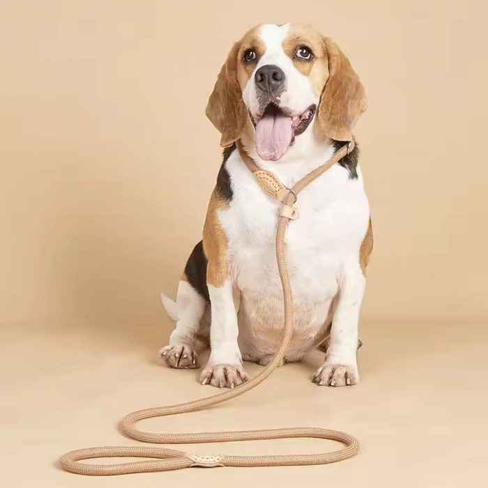 dog training leash collar (5) New integrated dog leash explosion-proof rope large dog training leash collar