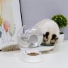 OEM Snail-shaped 2 in 1 Cat/Dog Bowl Pet Feeder Automatic Filter Water Dispenser Fountain