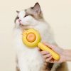 OEM Wholesale Chick Cat/dog Hair Comb Grooming Brush