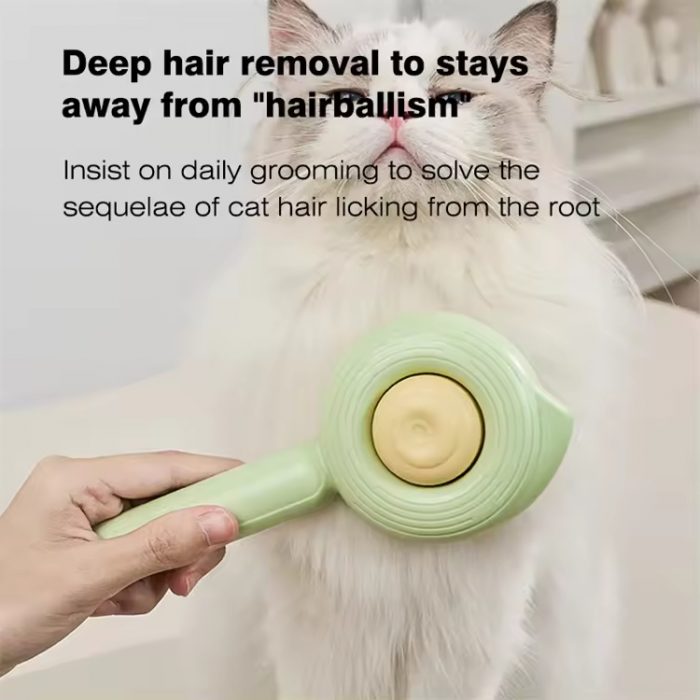 oem-wholesale-conch-cat-hair-comb-grooming-brush-3 OEM Wholesale Conch Cat Hair Comb Grooming Brush