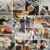 OEM Wholesale Donut Pet Grooming Brush Needle Comb
