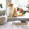 OEM Wholesale Hexagonal Double Bowl Anti-Slip Pet Cat Bowl