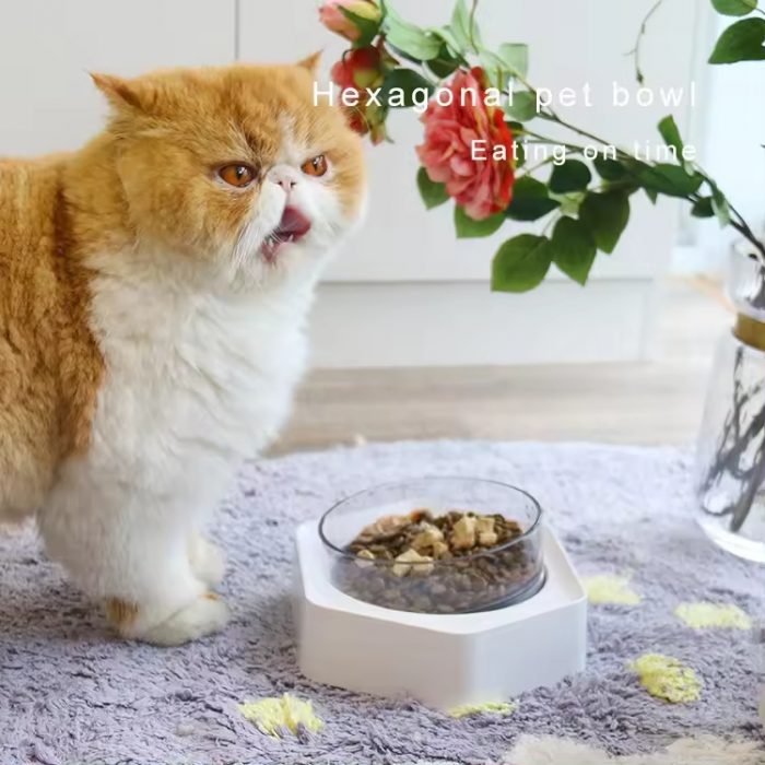 oem-wholesale-hexagonal-single-bowl-tilt-neck-guard-anti-spill-drinking-pet-bowl-1 OEM Wholesale Hexagonal Single Bowl Tilt Neck Guard Anti-spill Drinking Pet Bowl