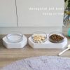 OEM Wholesale Hexagonal Single Bowl Tilt Neck Guard Anti-spill Drinking Pet Bowl