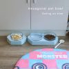 OEM Wholesale Hexagonal Single Bowl Tilt Neck Guard Anti-spill Drinking Pet Bowl