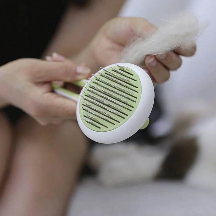 oem-wholesale-hollow-style-pet-grooming-brush-massage-deep-spa-comb-4 OEM Wholesale Hollow Style Pet Grooming Brush Massage Deep Spa Comb
