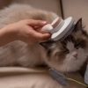 OEM Wholesale Pet Grooming Brush Massage Deep Spa Hair Removal Stainless Steel Needle Comb
