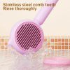 OEM Wholesale Piggy Cat/dog Hair Comb Grooming Brush