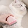 OEM Wholesale Pebble Shape Portable Pet Comb Massage Grooming Brush