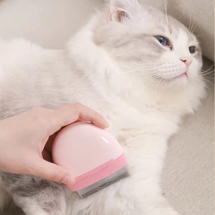 oem-wholesale-portable-pet-comb-massage-grooming-brush-2 OEM Wholesale Pebble Shape Portable Pet Comb Massage Grooming Brush