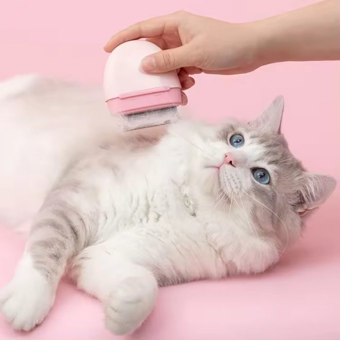 oem-wholesale-portable-pet-comb-massage-grooming-brush-3 OEM Wholesale Pebble Shape Portable Pet Comb Massage Grooming Brush