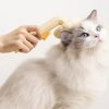 OEM Wholesale Sunflower Style Pet Grooming Brush Special Needle Comb