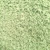 Wholesale OEM High-tech Production Natural Fast Clumping tofu Cat Litter